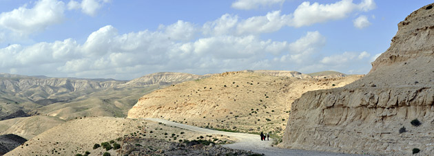 desert walkers israel